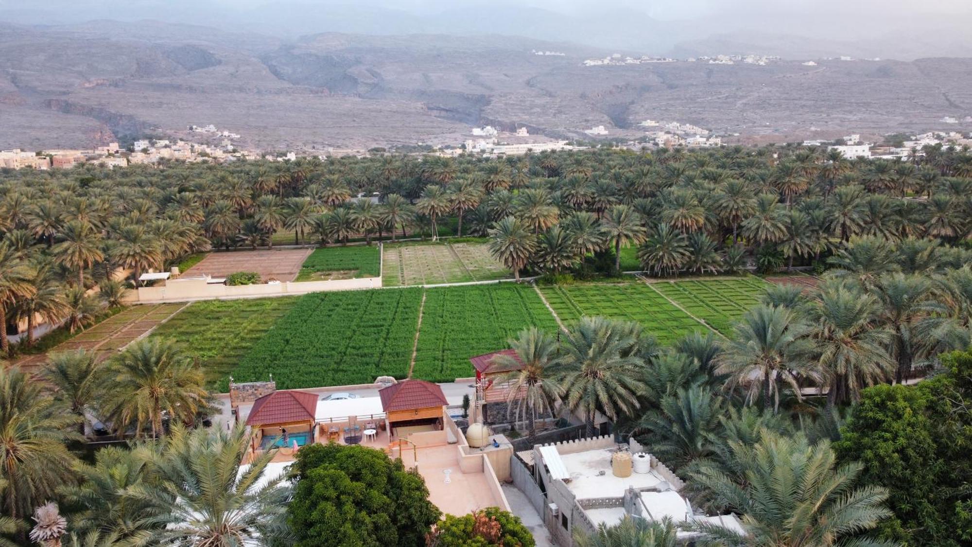 بيت نُزل السلام Bait Salam Inn Al Ḩamrāʼ Exteriör bild