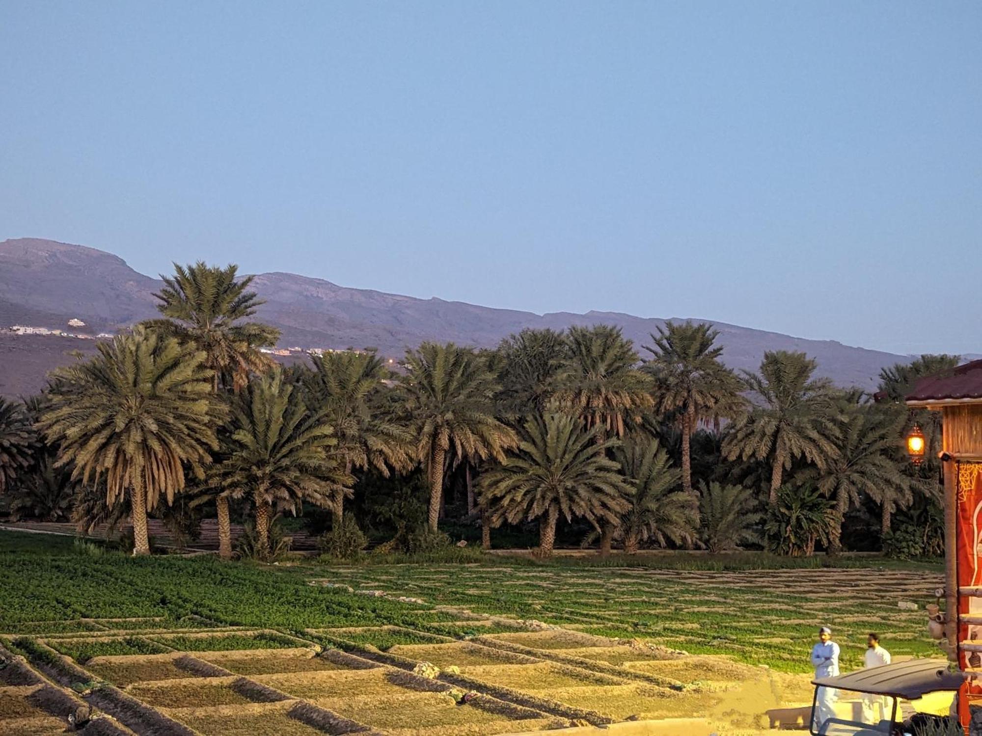 بيت نُزل السلام Bait Salam Inn Al Ḩamrāʼ Exteriör bild